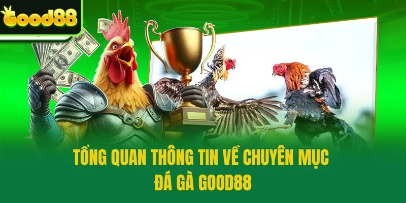 Tổng quan thông tin về chuyên mục đá gà Good88