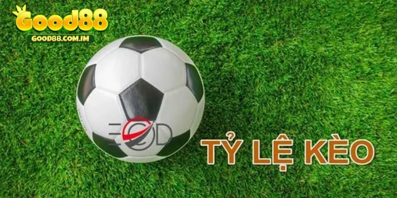 Các loại kèo bóng đá đình đám nhất năm 2024