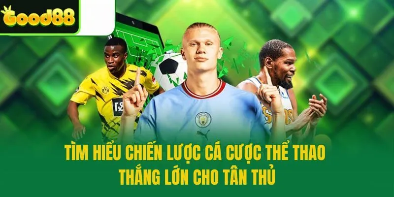 Tìm hiểu chiến lược cá cược thể thao thắng lớn cho tân thủ